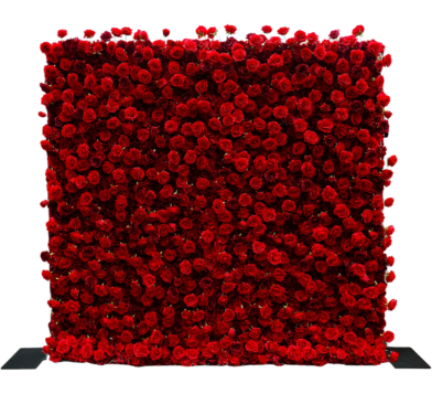 Red Rose Flower Wall
